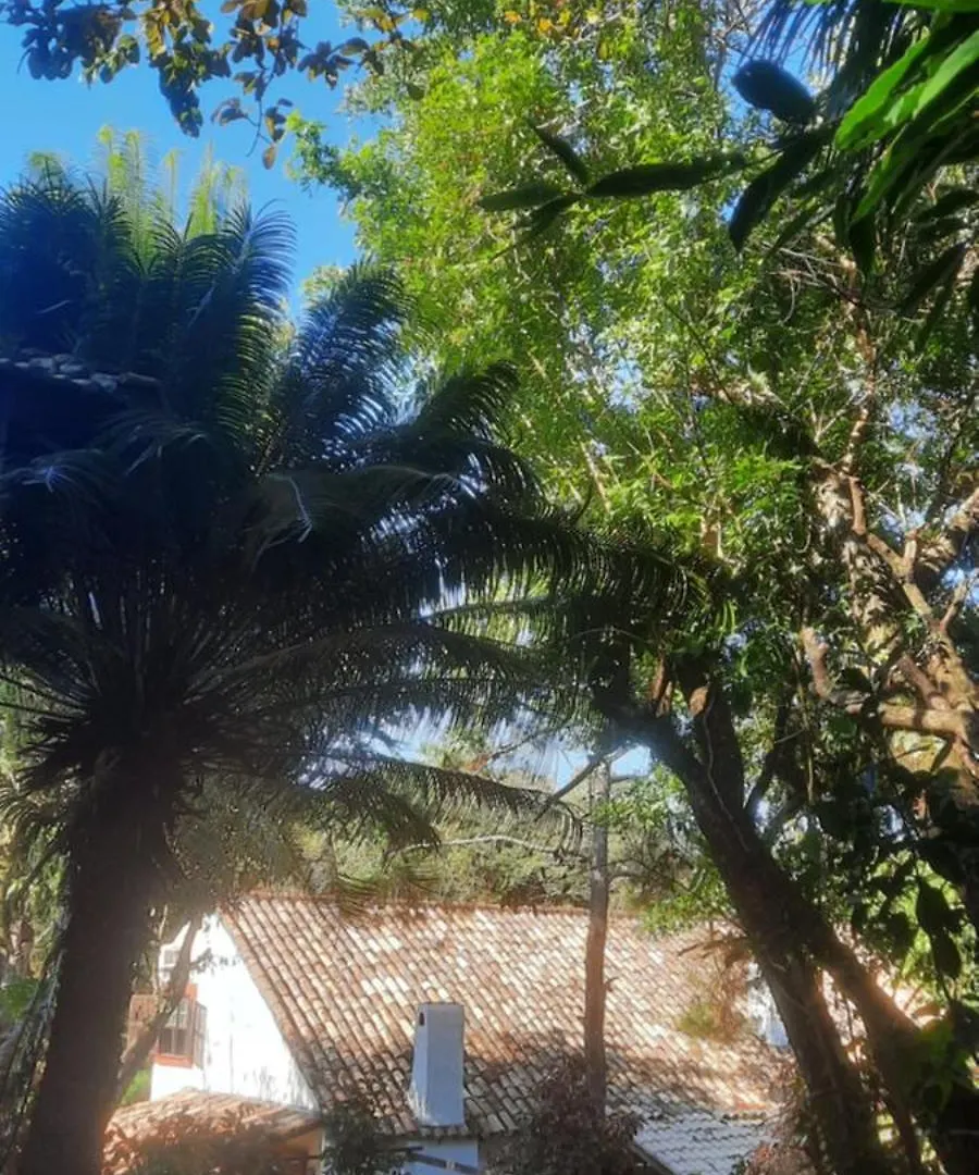 Holiday home Tres Duplex No Meio Do Verde A 130 Metros Da Praia Da Lagoinha Florianopolis Brazil